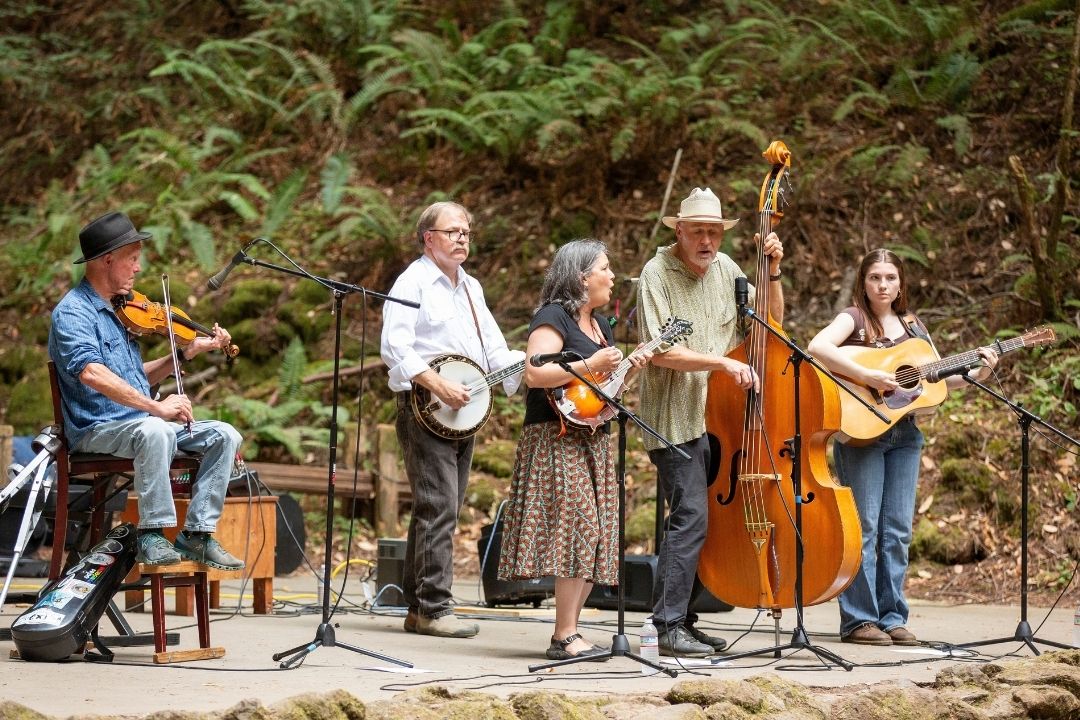 Five musicians are performing on an outdoor stage surrounded by greenery. The band includes a violinist, banjo player, mandolin player, upright bass player, and guitarist. The violinist is seated, while the others stand.